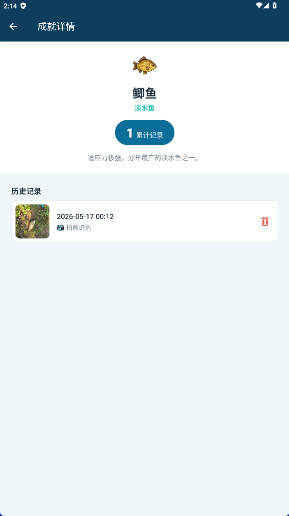 成就详情与历史